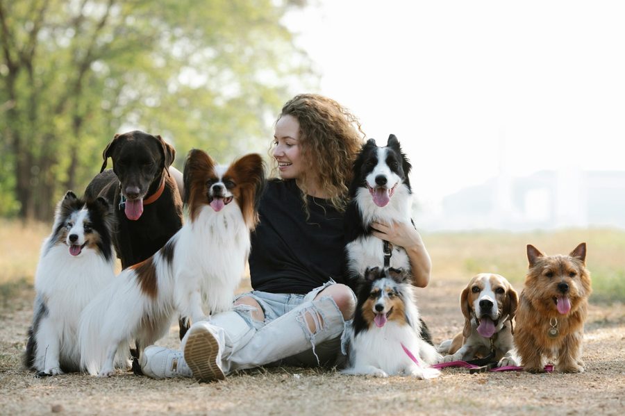 Pet-sitting garde animaux Genève — Wonder Garden Family